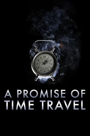 A Promise of Time Travel 2016 Hindi Dual Audio [750MB]