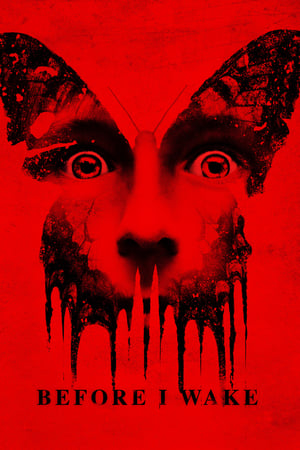 Before I Wake (2016) Hindi Dual Audio 350MB