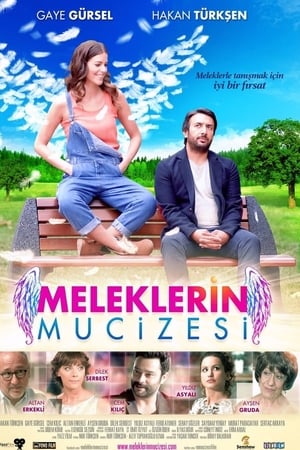 Meleklerin mucizesi (2014) Hindi Dual Audio [600MB]