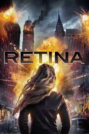 Retina 2017 Hindi Dual Audio [880MB]