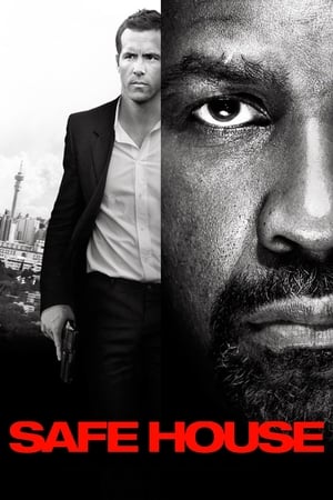 Safe House (2012) Hindi Dual Audio 350MB