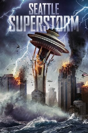 Seattle Superstorm (2012) Hindi Dual Audio 300MB