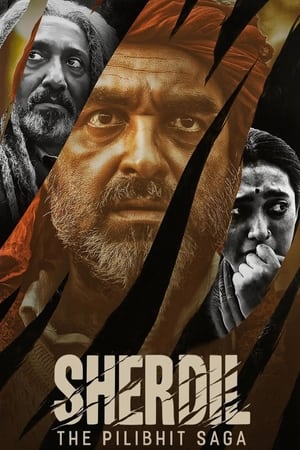 Sherdil 2022 Hindi Movie – 480p