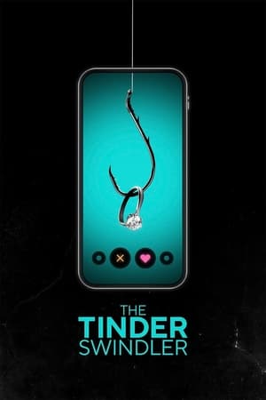 Tinder Swindler 2022 Hindi Dual Audio – 480p